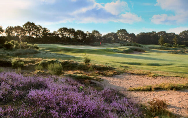 Natuurgebied golfclub Heelsum